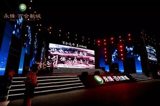 永鋒·百合新城璀璨亮相，龐龍獻(xiàn)唱引爆武城文化新篇章